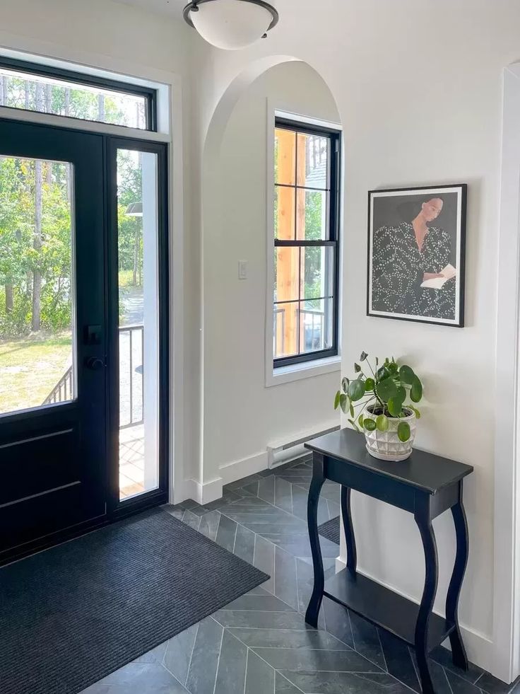 A bright entryway features a black door with glass panels, a narrow black table with a potted plant, and a framed abstract art piece on white walls.