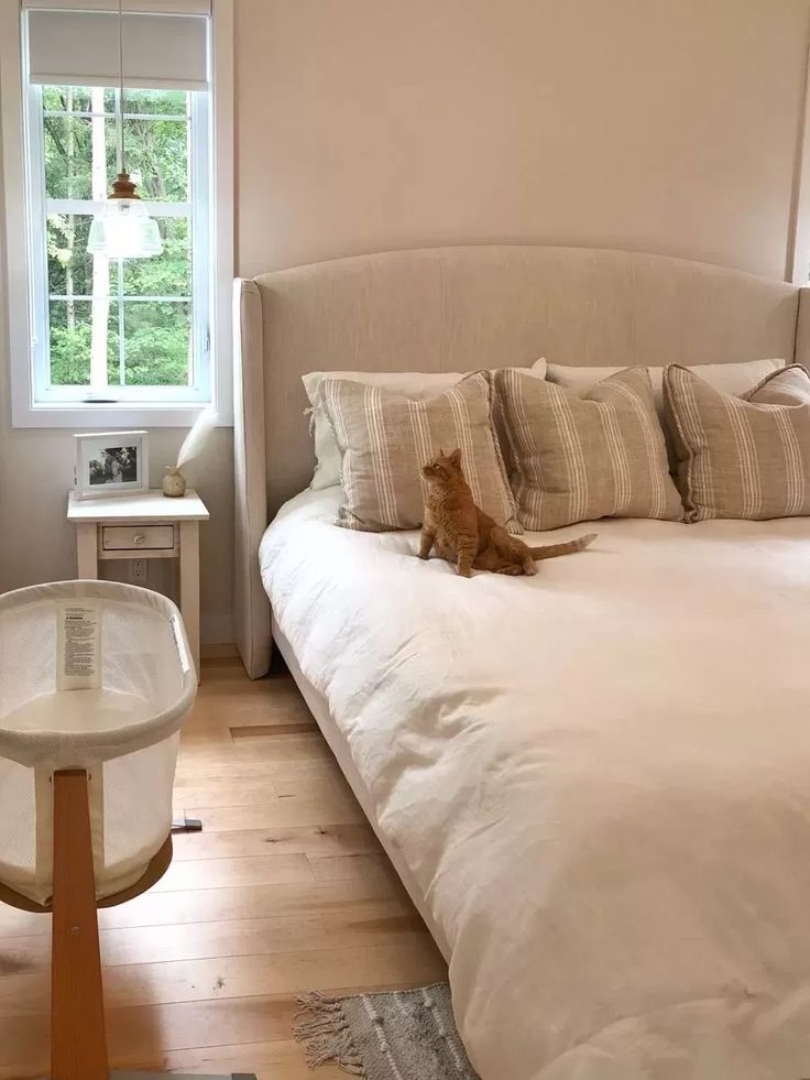 A cozy bedroom features a ginger cat sitting on a large white bed with striped pillows. A window shows greenery outside, adding a serene atmosphere.