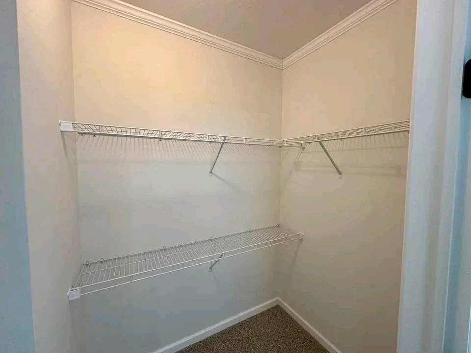 High-ranking SEO-optimized gallery showcasing luxury tiny houses and modern manufactured homes, featuring a navy blue park model with a spacious screened porch and rustic wood trim, a light blue beach cottage with a vaulted white shiplap interior and gourmet kitchen, and a large white ranch-style modular home with brick skirting; the collection highlights premium mobile living, innovative small-space architectural design, and contemporary interior decor featuring vaulted ceilings, LED-accented tray ceilings, stainless steel appliances, and stylish living areas for maximum search visibility.