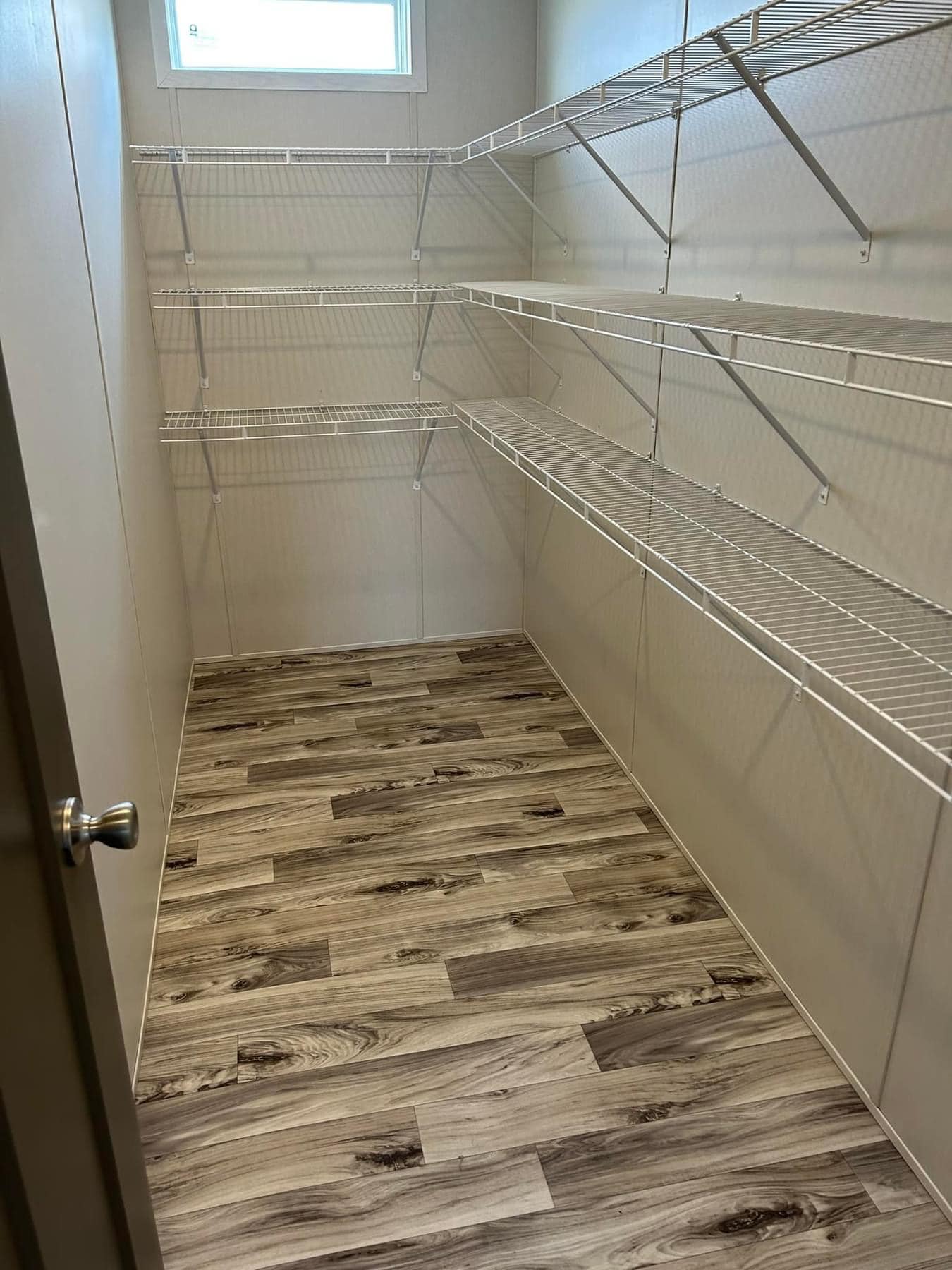 An empty pantry with wooden flooring, beige walls, and white metal shelves on three sides. Sunlight filters in through a small window, creating a clean, organized feel.