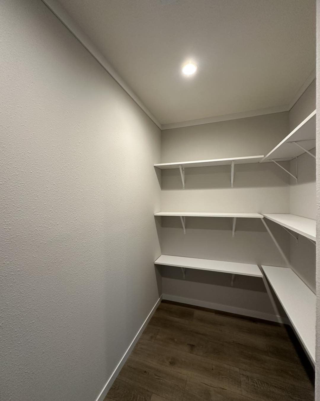 Minimalist pantry with white shelves on grey walls, lit by a recessed ceiling light. Dark wood flooring adds warmth to the clean, modern design.