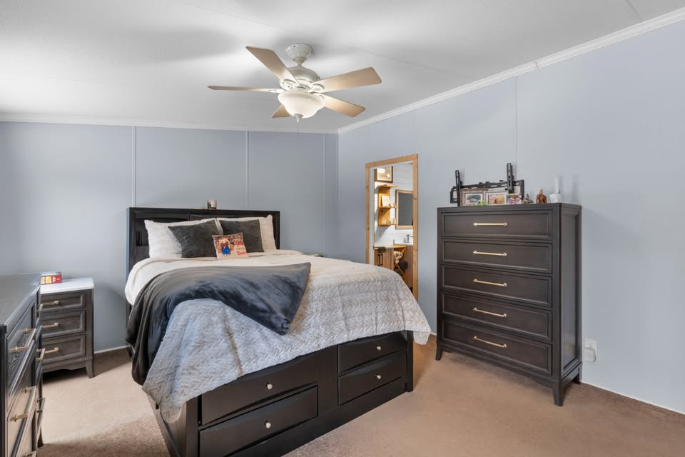 A modern bedroom with blue walls features a dark wood bed, gray bedding, and a ceiling fan. A dresser and a mirror reveal a glimpse of a cozy bathroom.